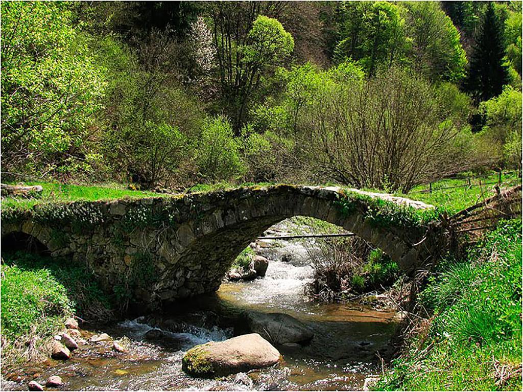 Family Hotel Valchanovata Kashta Fotinovo Buitenkant foto